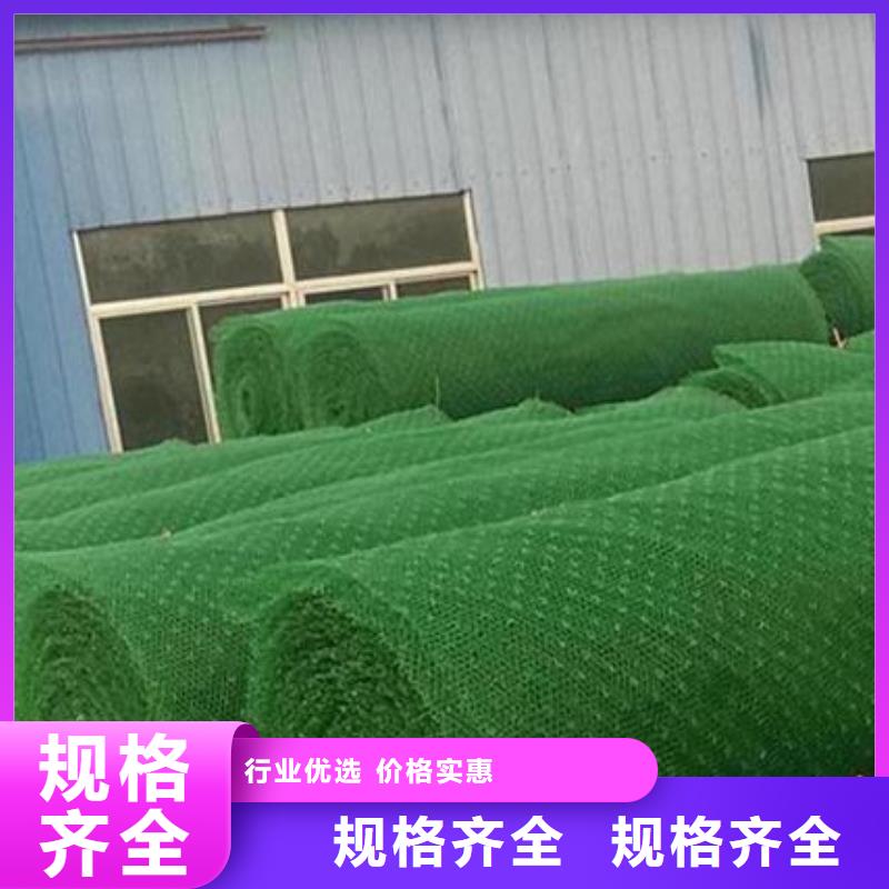 ?三維植被網(wǎng)車庫虹吸排水系統(tǒng)高標(biāo)準(zhǔn)高品質(zhì)本地廠家