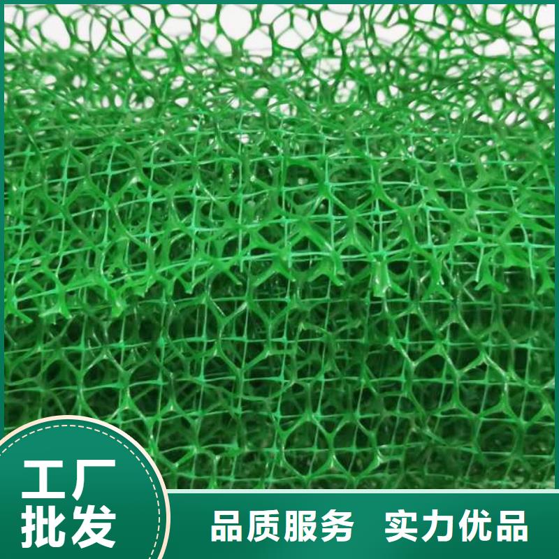 三维植被网实业公司闪电发货