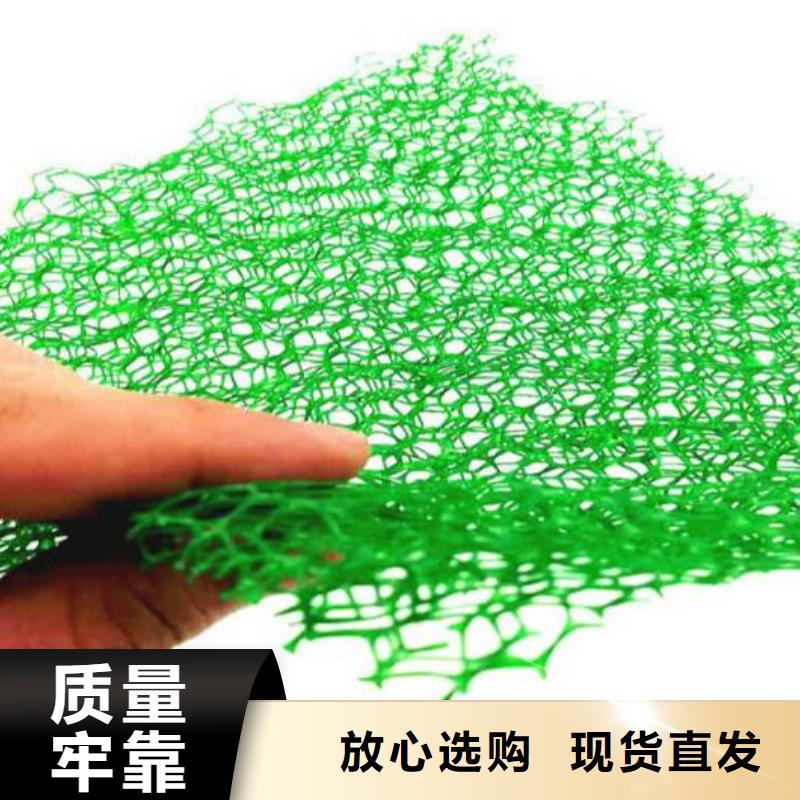 三維植被網(wǎng)-工廠直營同城制造商