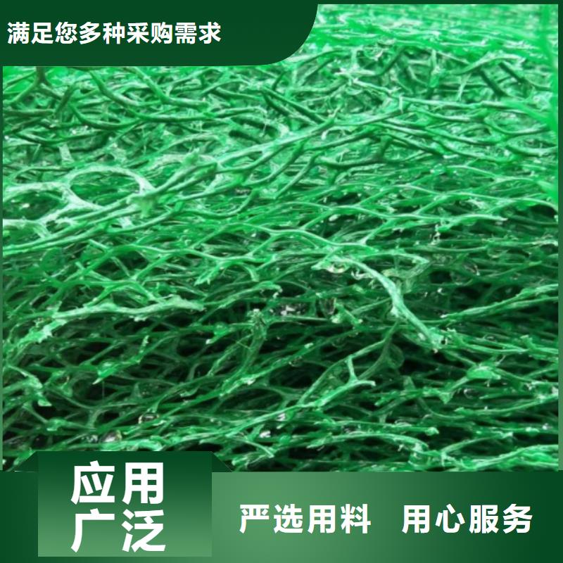 三维植被网-【植草格】颜色尺寸款式定制N年生产经验