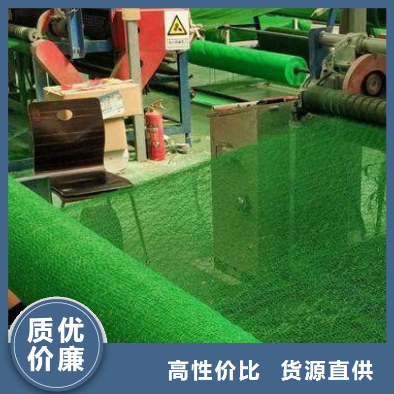 三維植被網(wǎng)-工廠直營(yíng)資質(zhì)認(rèn)證