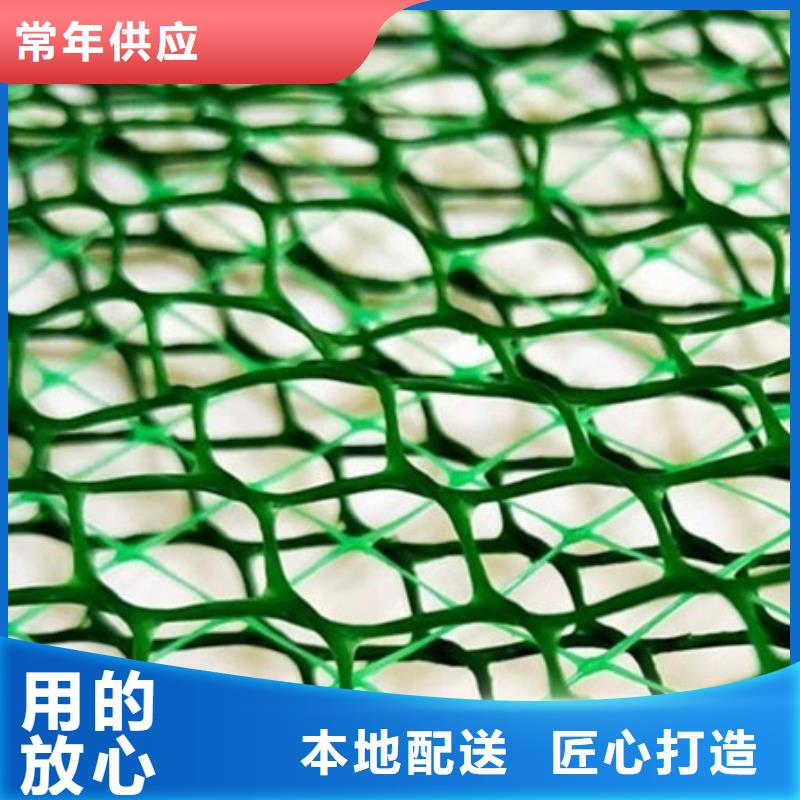 三維植被網(wǎng)_防護虹吸排水收集系統(tǒng)高質(zhì)量高信譽同城生產(chǎn)商
