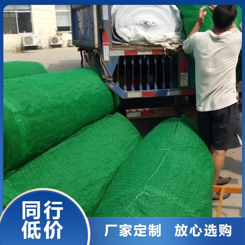 三維土工網(wǎng)墊本地工廠直營好貨采購