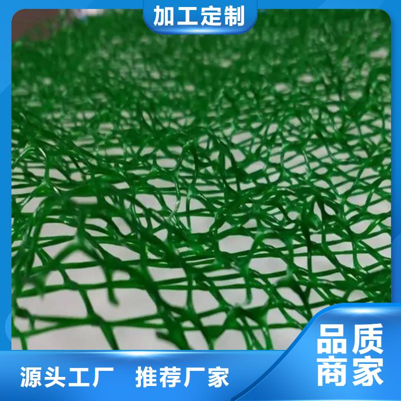 护坡土工网边坡复绿敢与同行比质量