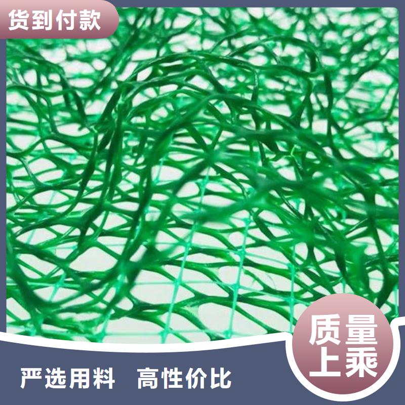 三维植被网欢迎联系生产经验丰富