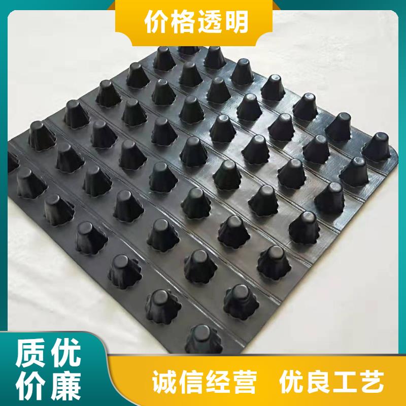 排蓄水板@全國(guó)直銷(xiāo)質(zhì)量?jī)?yōu)選