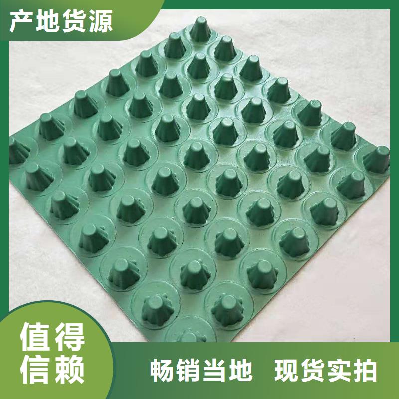 凹凸型塑料排蓄水板-價(jià)格資訊自產(chǎn)自銷(xiāo)