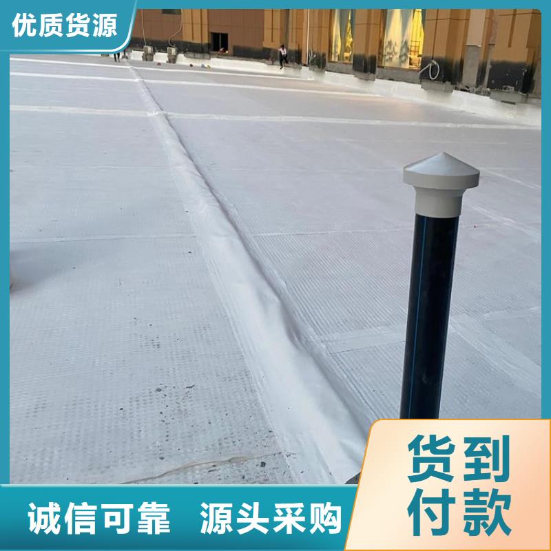 排水板三維植被網(wǎng)質(zhì)量不佳盡管來找我本地供應商