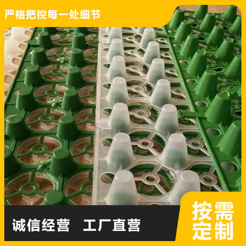 排蓄水板@型號(hào)齊全多種工藝