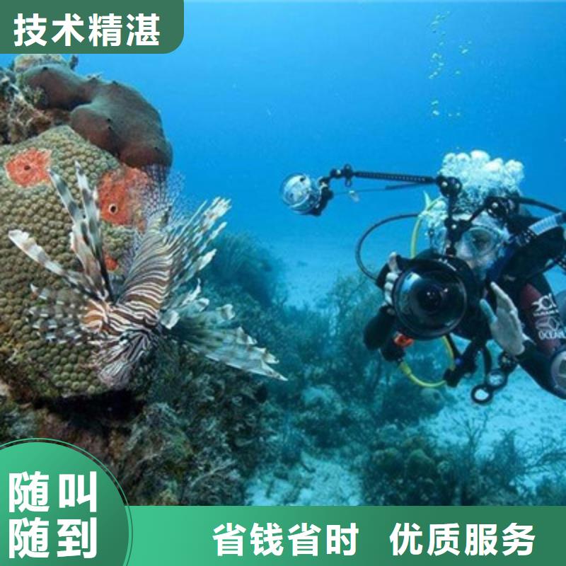 汝南水下机器人电话本地生产商