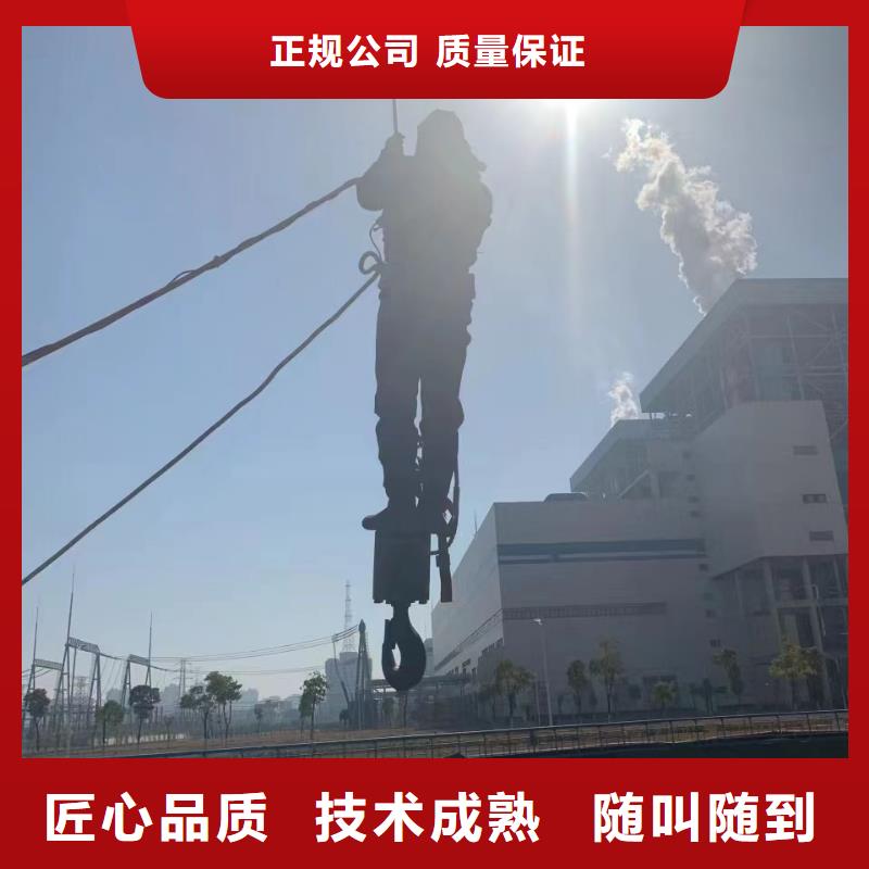 上蔡气囊封堵公司一站搞定