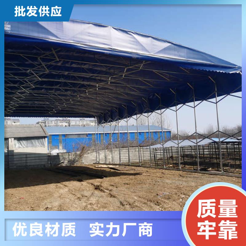 電動(dòng)伸縮篷實(shí)體大廠本地廠家值得信賴(lài)