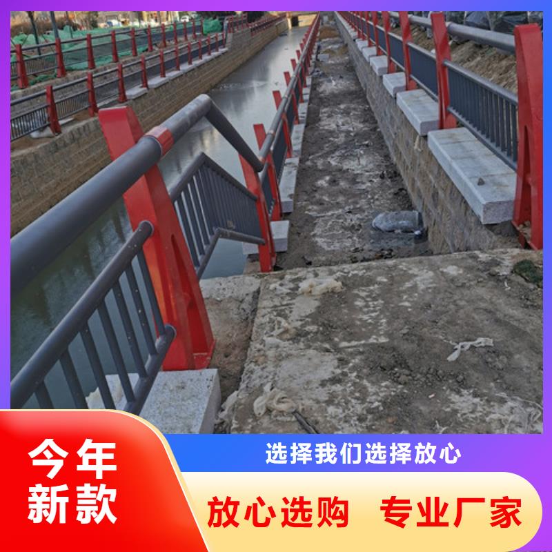 專業(yè)生產(chǎn)制造河道護(hù)欄供應(yīng)商同城制造商
