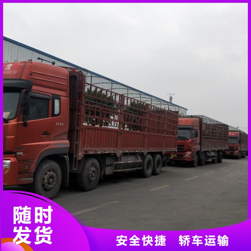 成都到樂山貨運專線 2023(直達(dá)+全境)