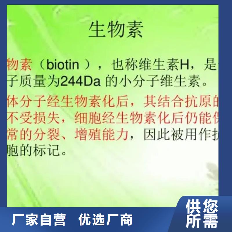 新和成生物素用途的簡(jiǎn)單介紹