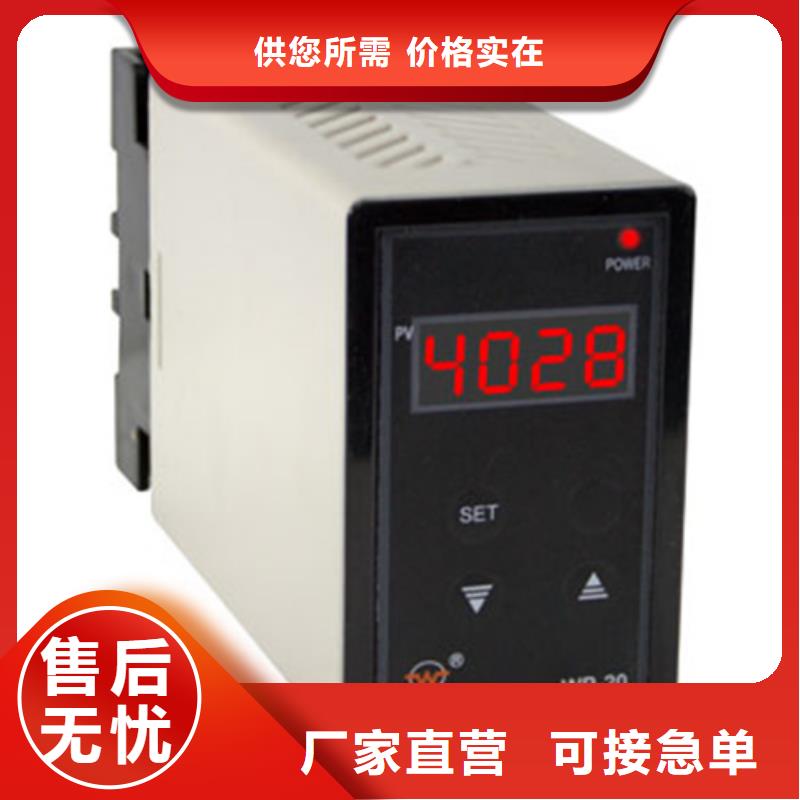 PDS484H-1ES24CC-AA03-A1DN/G61生產(chǎn)廠家|PDS484H-1ES24CC-AA03-A1DN/G61定制同城制造商