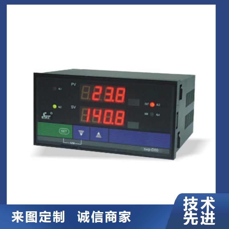 WP-LEAA交流電流儀表行業(yè)品牌廠家本地供應(yīng)商