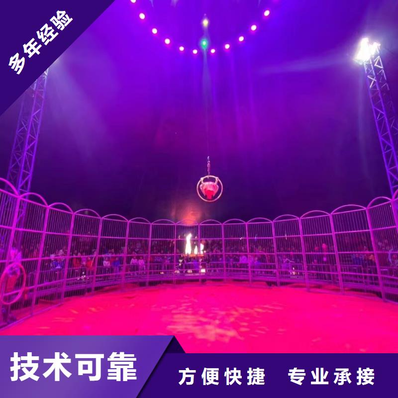 鳄鱼表演租赁暖场气氛口碑商家