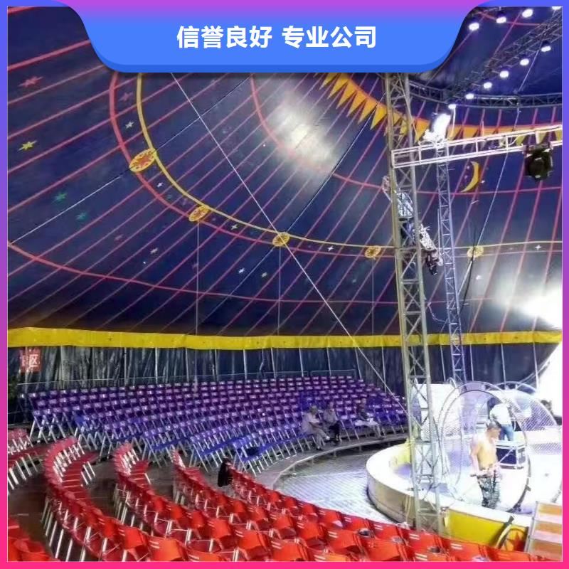 羊駝出售活動(dòng)慶典價(jià)格低于同行