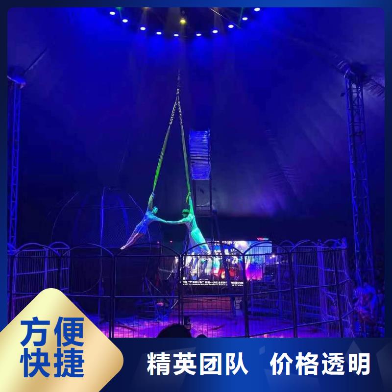 哪有萌宠展出租联系方式精英团队