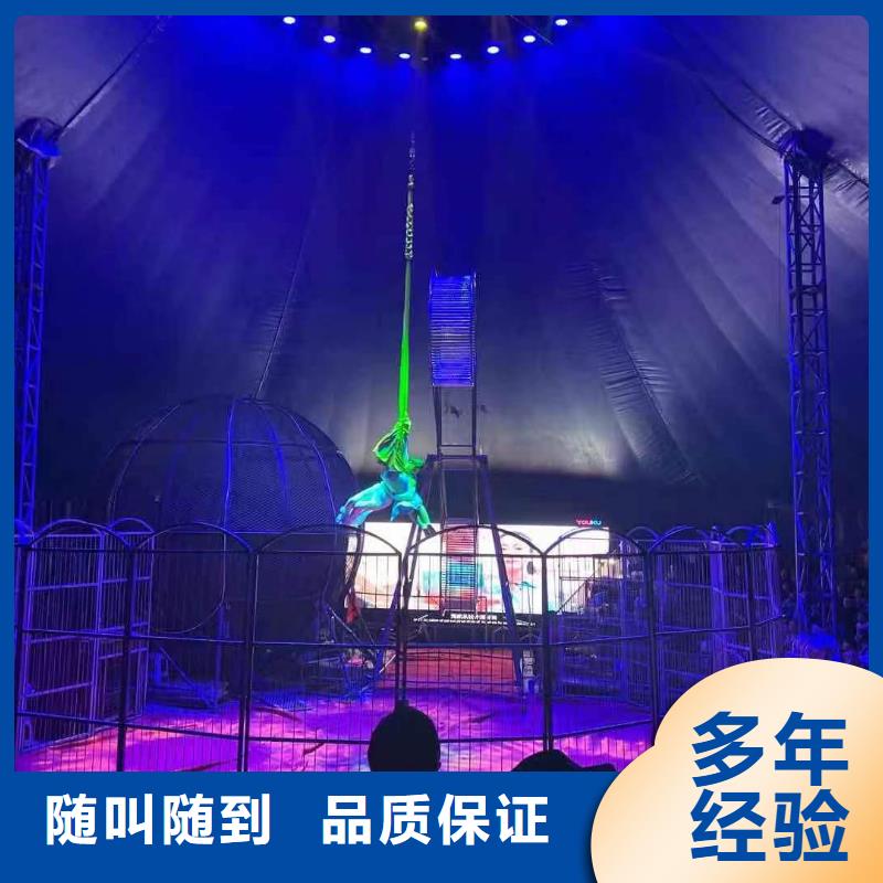 馬戲團(tuán)/羊駝羊駝出租知名公司經(jīng)驗(yàn)豐富