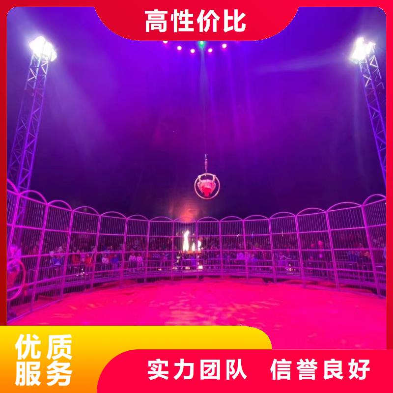 動(dòng)物表演租賃聯(lián)系廠(chǎng)家專(zhuān)業(yè)可靠