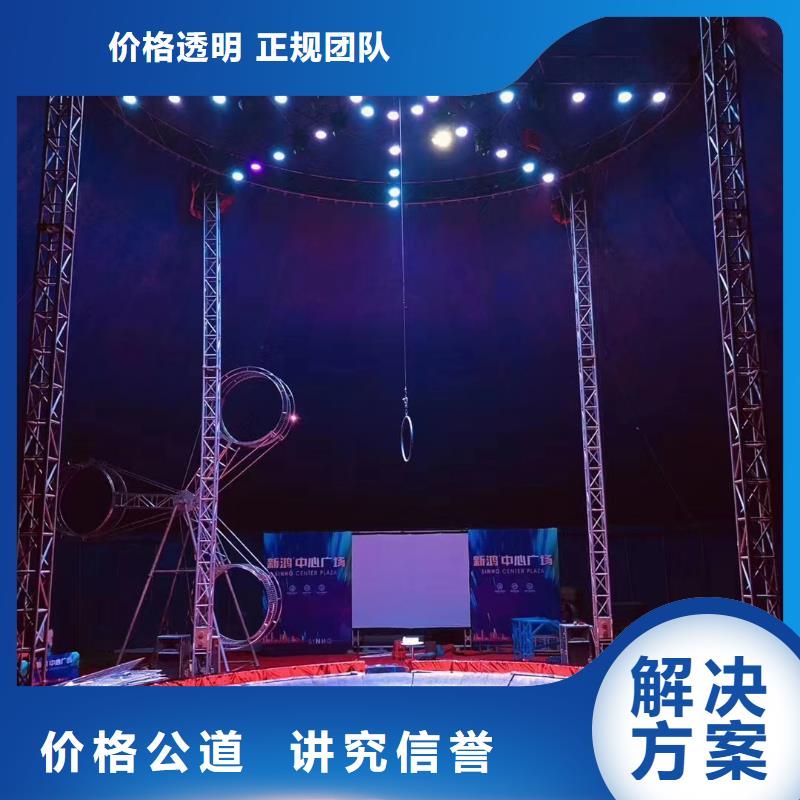 马戏团/羊驼海狮演出价格公道本地公司
