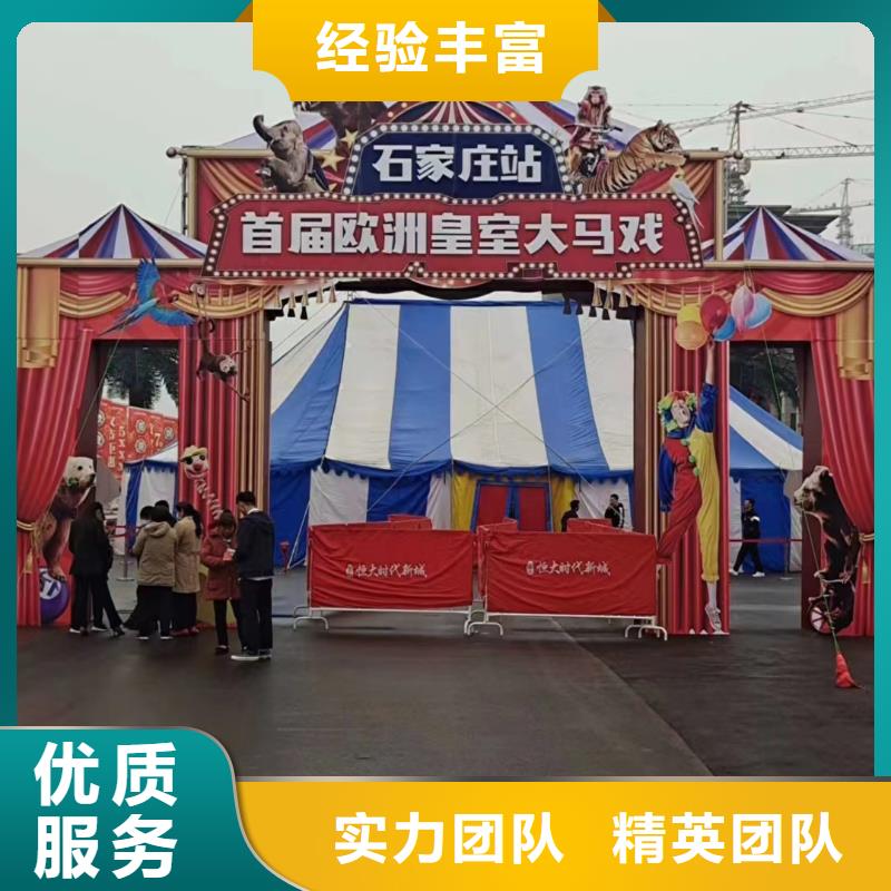 马戏团/羊驼出租表演企鹅专业可靠同城生产厂家