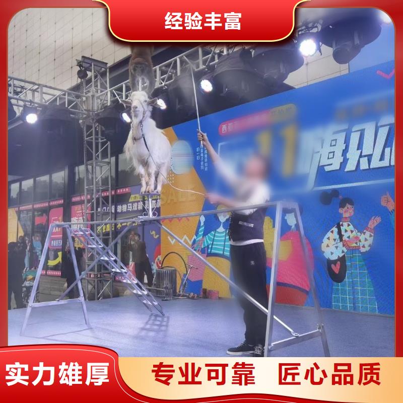 萌宠动物展出租活动庆典价格公道