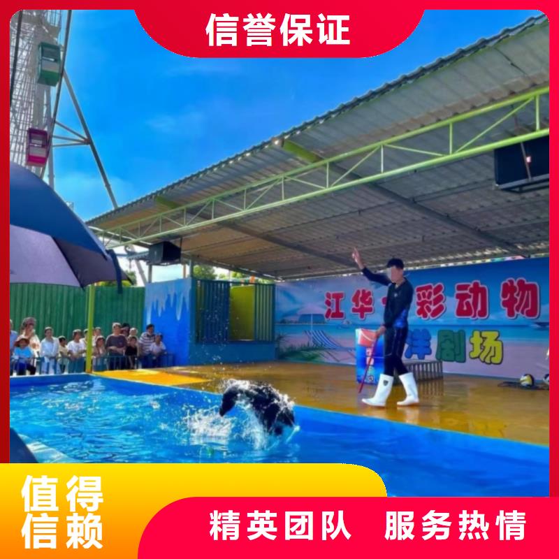 企鹅出租联系方式质优价廉