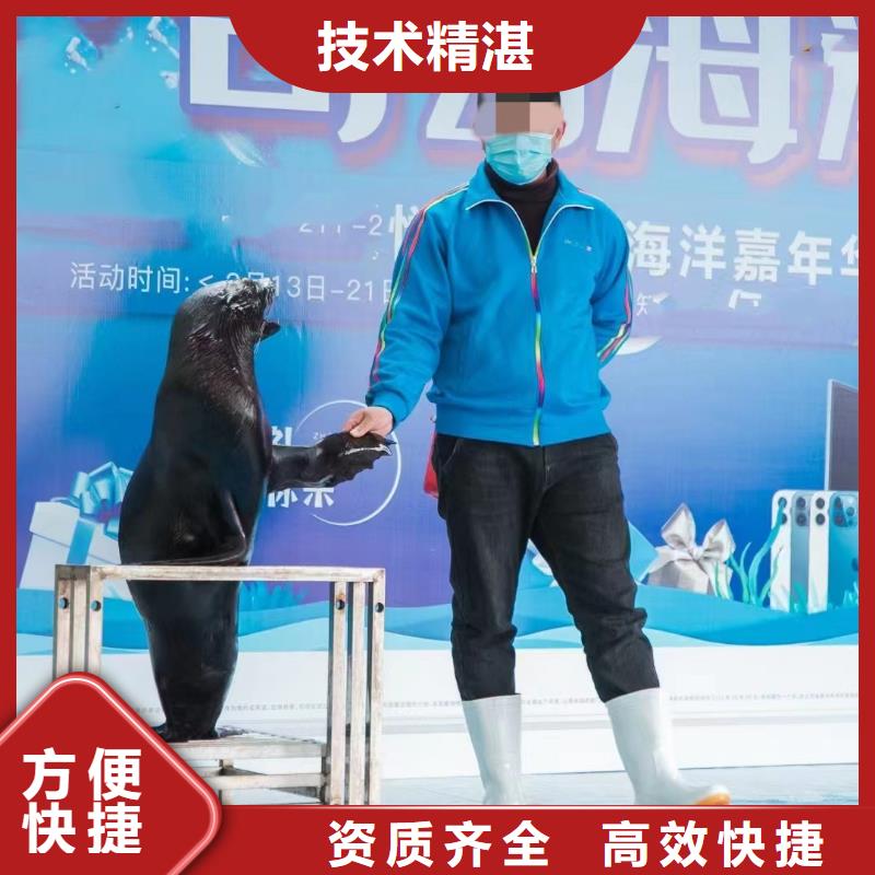 海洋生物展租赁-钜惠来袭快速响应