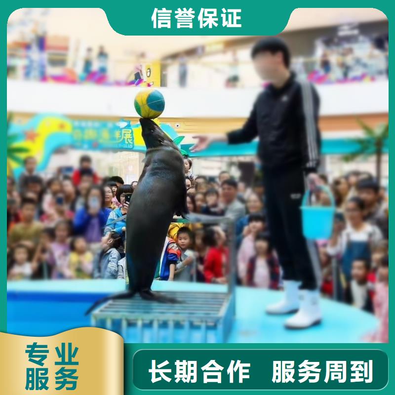 海洋展出租大品牌品質(zhì)優(yōu)一對(duì)一服務(wù)