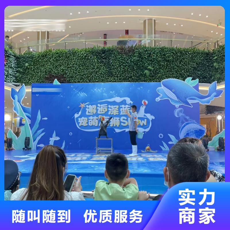 企鵝出租暖場(chǎng)氣氛注重質(zhì)量