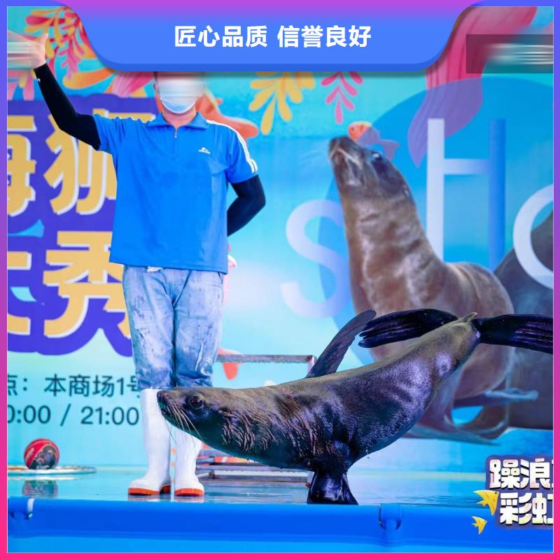 美人鱼表演租赁哪里有实力公司