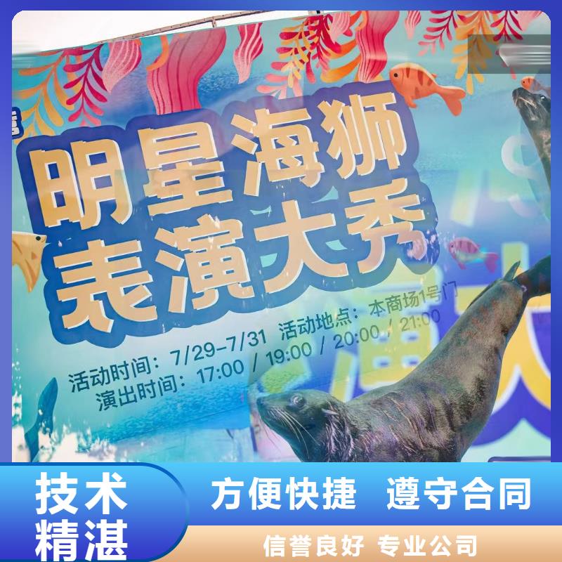 哪有出租美人魚表演的全國(guó)承接2024公司
