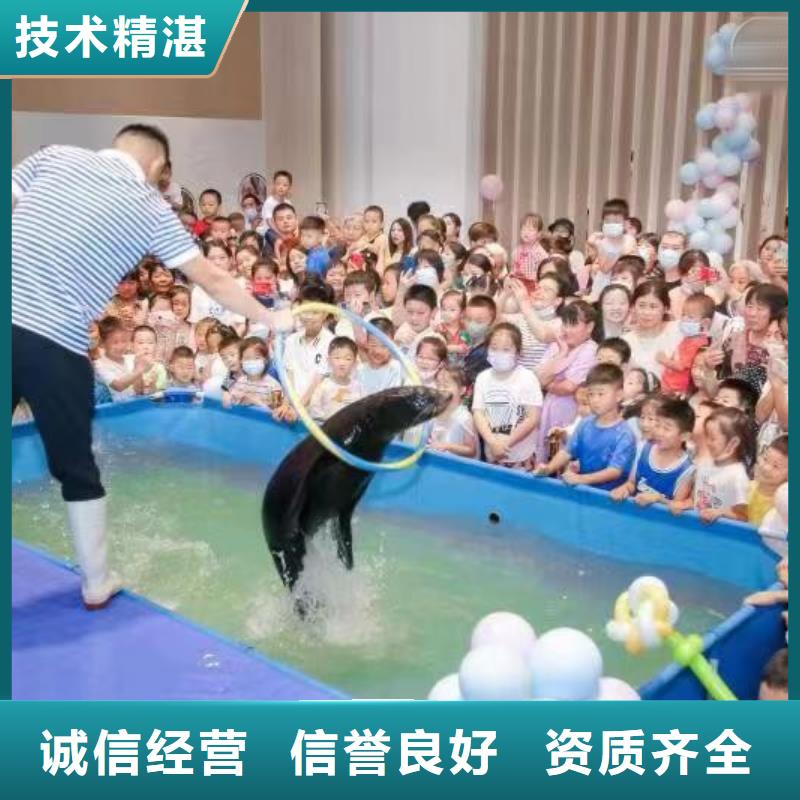 出租海獅表演暖場(chǎng)氣氛快速