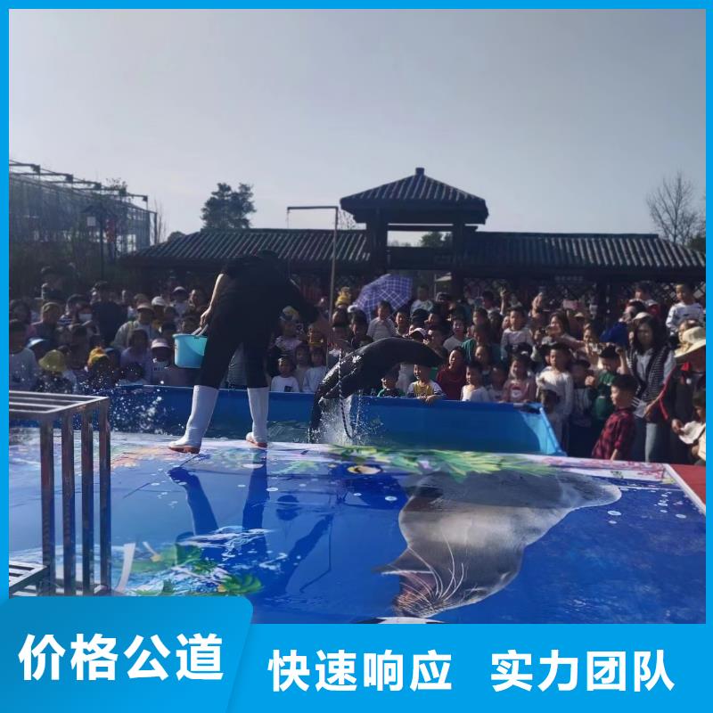 海洋生物展出租同城制造商