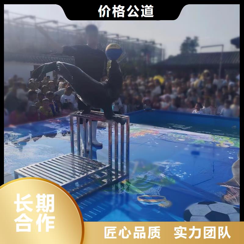 【海洋主题动物表演表演动物出租知名公司】好评度高