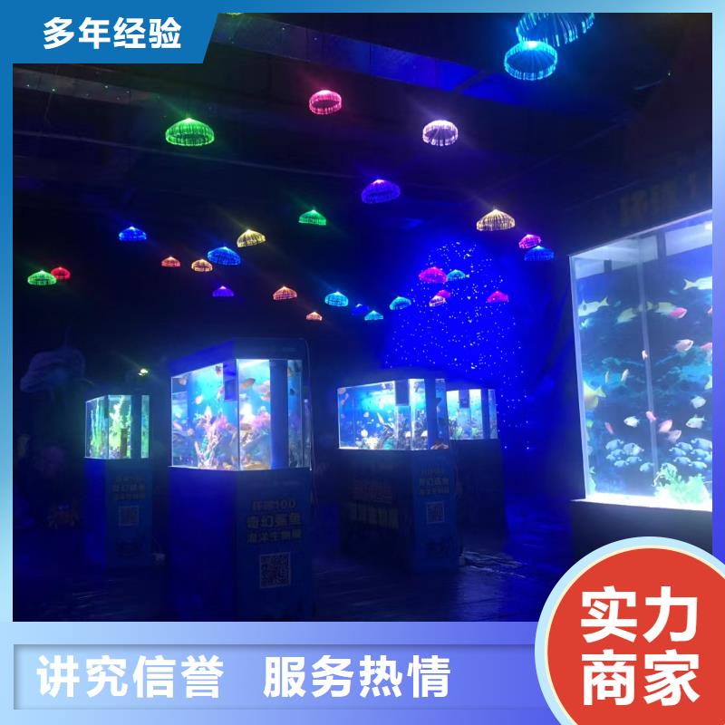 企鹅出租海洋主题放心之选