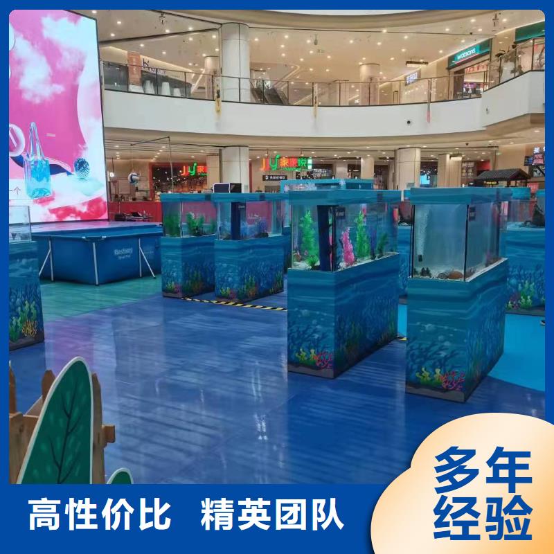 哪有出租海獅表演的一手資源本地品牌