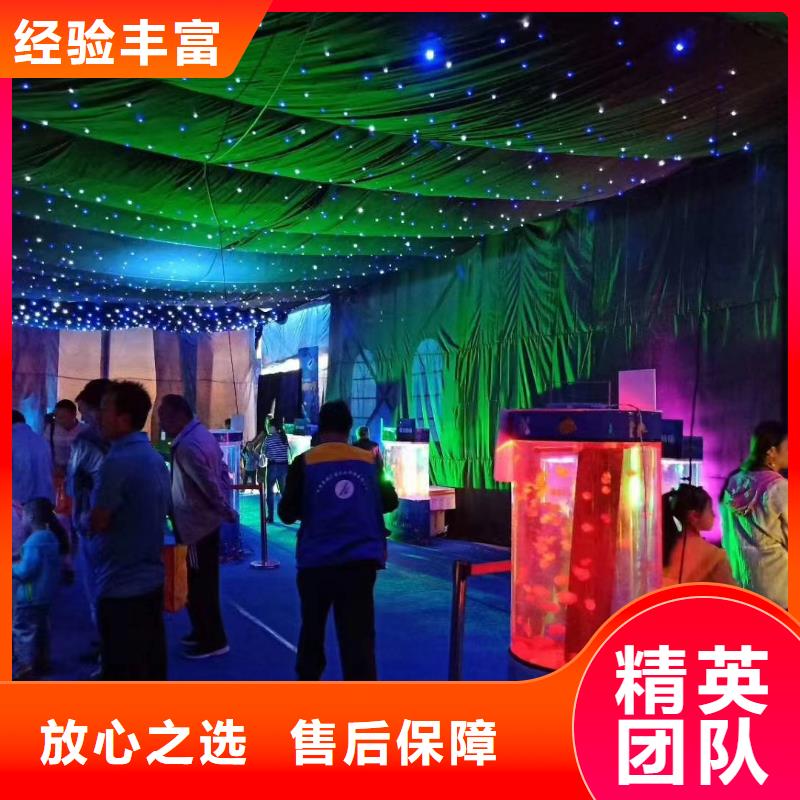 海洋主題動物表演羊駝出租從業(yè)經驗豐富同城生產廠家