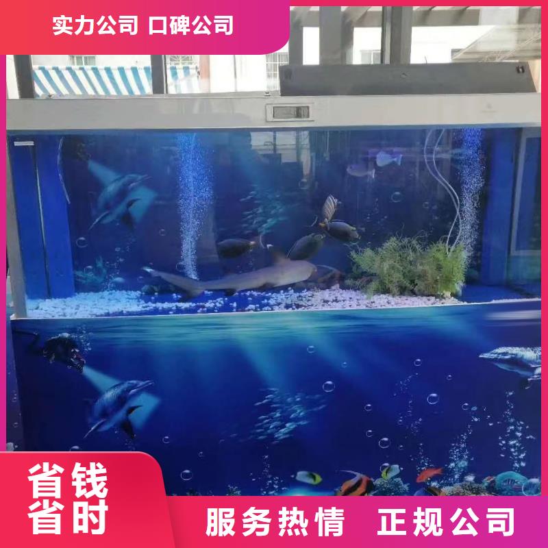 企鵝出租暖場方案技術(shù)精湛