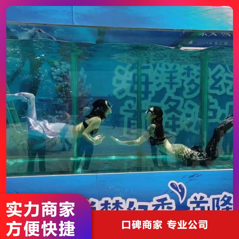 鱷魚表演租賃一手資源一站搞定