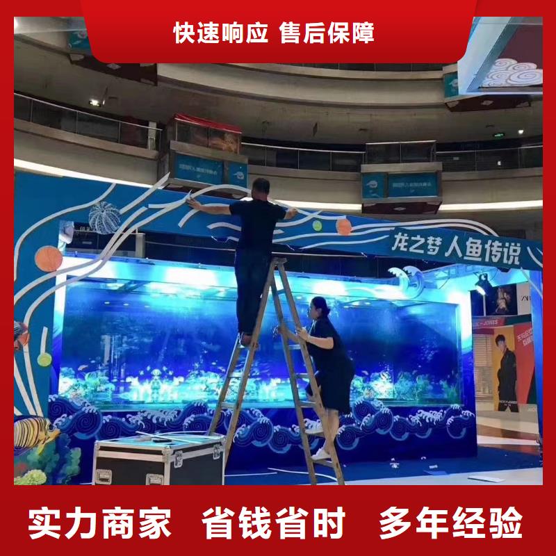 海獅表演出租當?shù)厣a廠家