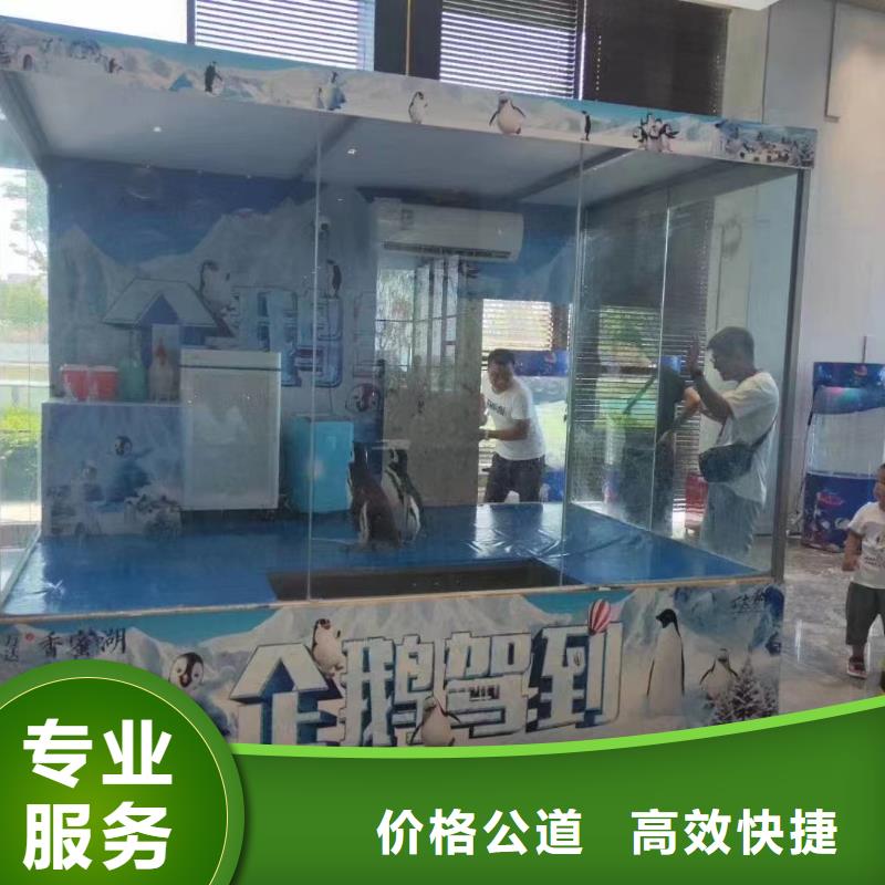 海洋主题动物表演吉祥百鸟展专业解决方案