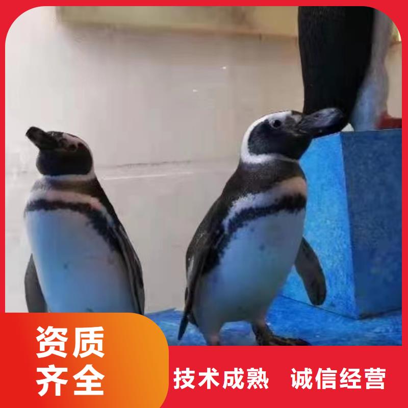 海洋展出租图片本地货源