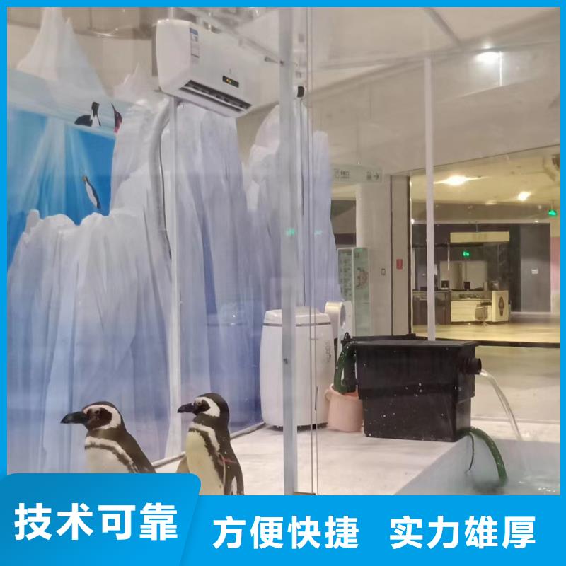 海洋生物展租賃豐富多彩方便快捷