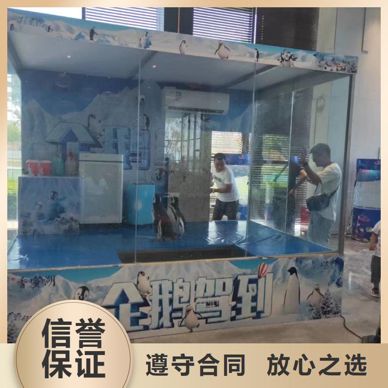 哪有出租海狮的活动庆典当地厂家