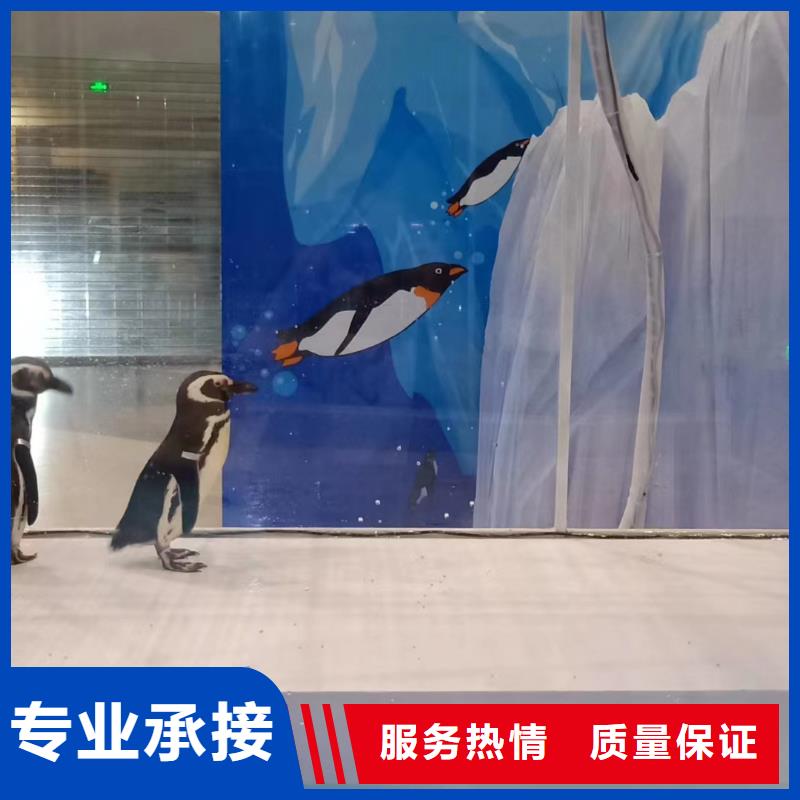 海洋生物展出租公司一手資源先進(jìn)的技術(shù)