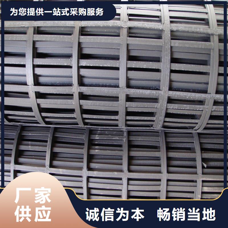 玻纤格栅厂家现货当地供应商